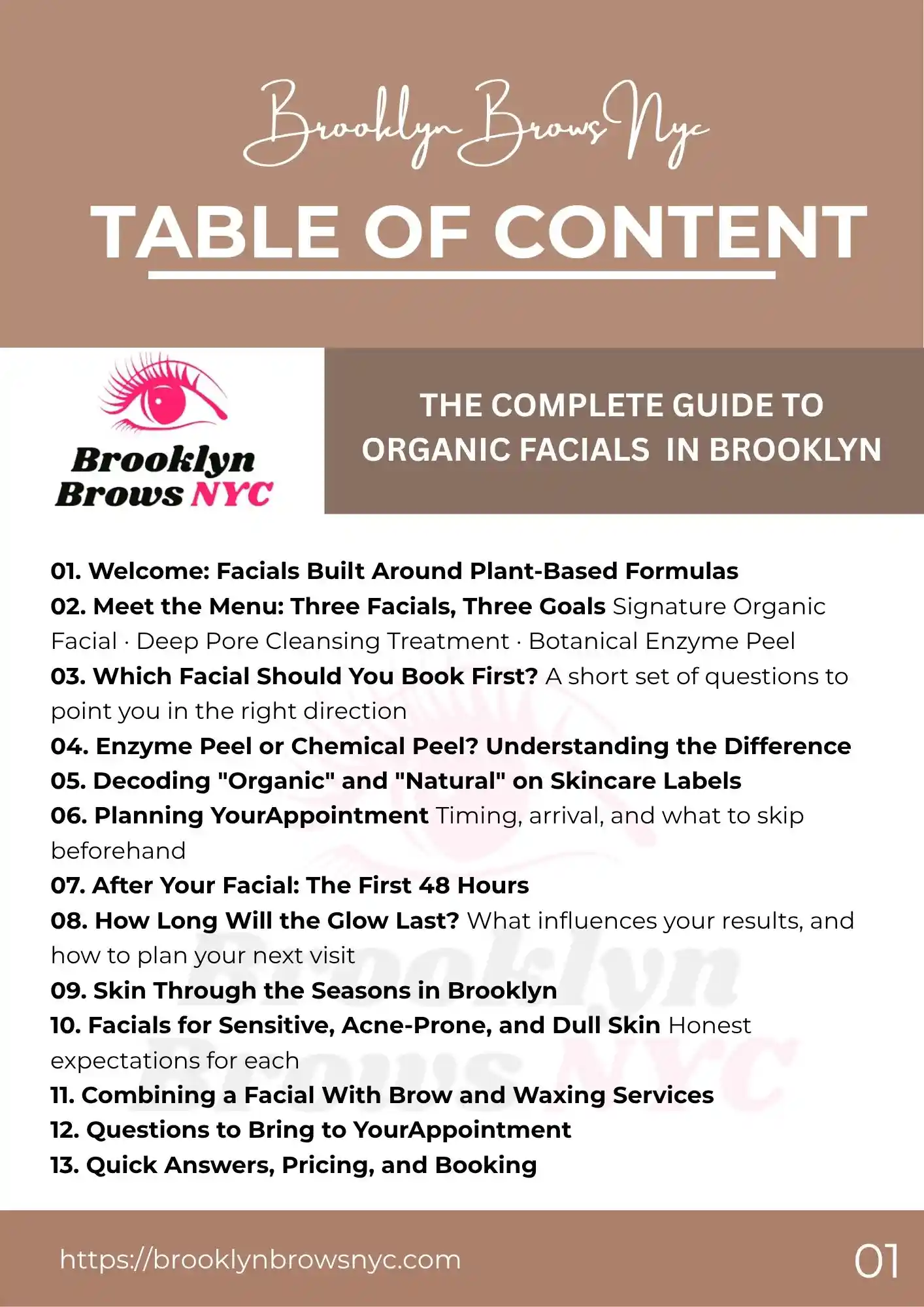 Preview of the Brooklyn Brows NYC Organic Facials PDF Guide